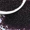 MIYUKI Round Rocailles Beads X-SEED-G009-RR2402-1