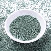MIYUKI Delica Beads X-SEED-J020-DB1846-2