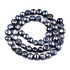 Natural Cultured Freshwater Pearl Beads Strands X-PEAR-R064-21-4