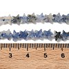 Natural Blue Spot Jasper Beads Strands G-F817-A12-01-6