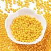 Baking Paint Glass Seed Beads SEED-H002-I-B503-2