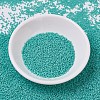 MIYUKI Delica Beads SEED-X0054-DB0759-2