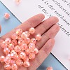 Transparent Acrylic Beads TACR-S152-04B-SS2109-5