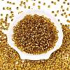 6/0 Baking Paint Transparent Fringe Glass Seed Beads SEED-N006-06C-2