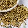 MIYUKI Round Rocailles Beads X-SEED-G008-RR4202-1