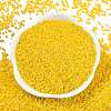 Opaque Colours Luster Glass Seed Beads SEED-H003-12D-3
