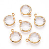 K9 Glass Charms X1-GLAA-T023-37A-02-1