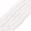 Electroplate Glass Beads Strands EGLA-A034-J4mm-L08-1