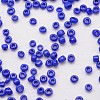 6/0 Glass Seed Beads X-SEED-J014-F6-48-3
