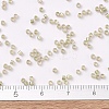 MIYUKI Delica Beads SEED-X0054-DB1766-4