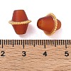 Natural Carnelian(Dyed & Heated) Beads GG-D002-17G-05-3