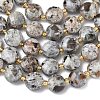Natural Syenite Beads Strands G-K389-B86-01-4
