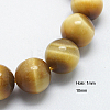 Natural Gold Tiger Eye Beads Strands G-G212-10mm-18-1