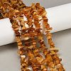 Natural Amber Chip Beads Strands G-E271-81-01-2