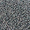 MIYUKI Delica Beads X-SEED-J020-DB1712-3