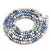 Electroplate Glass Beads Strands EGLA-S192-001A-B05-2