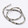 Natural Labradorite Bead Strands G-K152-03-4mm-1