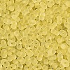 FGB Frosted Transparent Glass Seed Beads SEED-N013-06A-02-3
