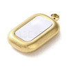 304 Stainless Steel Acrylic Pendants LS-STAS-M091-02C-G-2