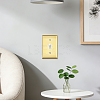 ABS Plastic Receptacle Outlet Wall Plate AJEW-WH0410-464B-01-4
