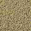 TOHO Round Seed Beads X-SEED-TR11-PF0559-2