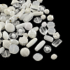 Acrylic Beads SACR-S756-08-1