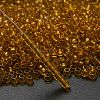 TOHO 6/0 Round Beads X-SEED-TR06-2155-2