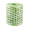 Raffia Twine Yarn OCOR-TAC0025-009D-1