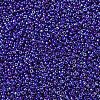 MIYUKI Round Rocailles Beads X-SEED-G007-RR0484-2