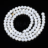 Natural Freshwater Shell Beads Strands BSHE-T009B-01A-3