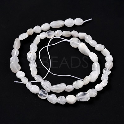 Natural Rainbow Moonstone Beads Strands G-G018-48-1