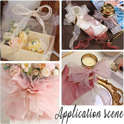 Polyester Organza Ribbons SRIB-WH20020-003A-04-1