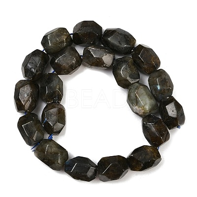 Natural Labradorite Beads Strands G-F796-C10-01-1