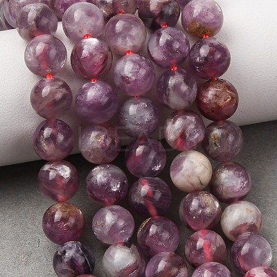 Natural Lepidolite/Purple Mica Stone Beads Strands G-B133-A01-8MM-1