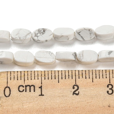 Natural Howlite Beads Strands G-M420-H14-03-1