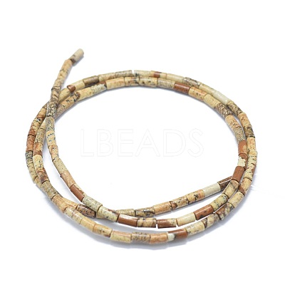 Natural Picture Jasper Beads Strands G-F631-B10-1