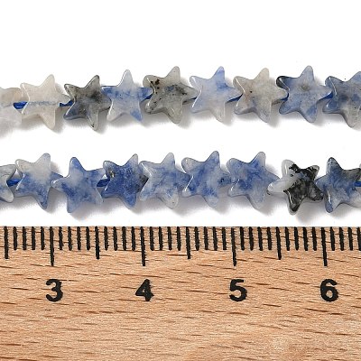 Natural Blue Spot Jasper Beads Strands G-F817-A12-01-1
