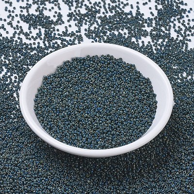 MIYUKI Round Rocailles Beads X-SEED-G010-RR4516-1