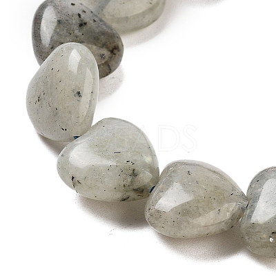 Natural Labradorite Beads Strands G-B022-32C-1
