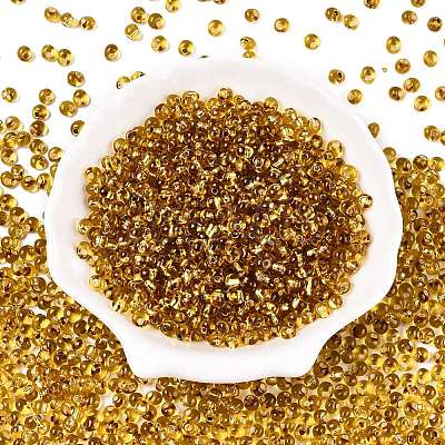 6/0 Baking Paint Transparent Fringe Glass Seed Beads SEED-N006-06C-1