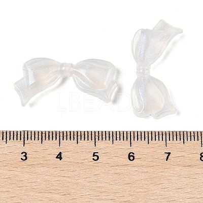 Transparent Acrylic Beads LS-TACR-F009-01B-1