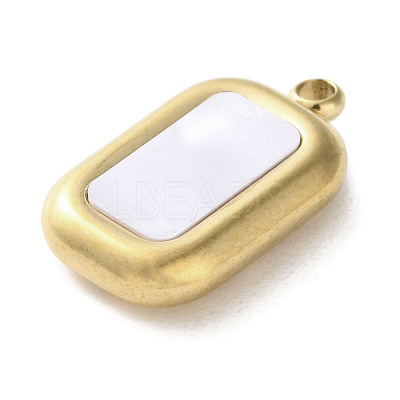 304 Stainless Steel Acrylic Pendants LS-STAS-M091-02C-G-1