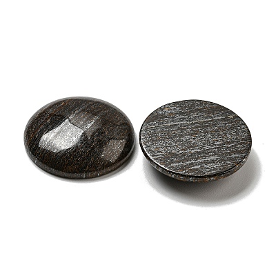 Natural Bronzite Cabochons G-C115-02B-25-1