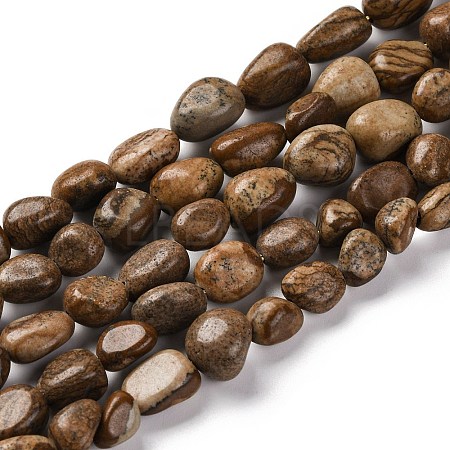Natural Picture Jasper Beads Strands G-G146-A01-01-1