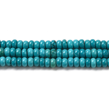Natural Howlite Beads Strands G-B049-C01-09A-1