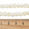 Crackle Glass Beads Strands GLAA-U001-6mm-11-4