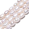 Natural Cultured Freshwater Pearl Beads Strands PEAR-N014-06E-2