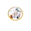 Flat Round Edge Golden Plated Resin Color Palette MRMJ-T077-10-1