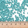TOHO 6/0 Round Beads X-SEED-TR06-0055-4