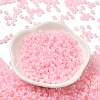 Glass Seed Beads SEED-H002-H-1305-2